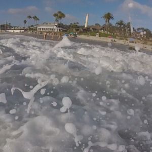 Meet your Posher, Kylie